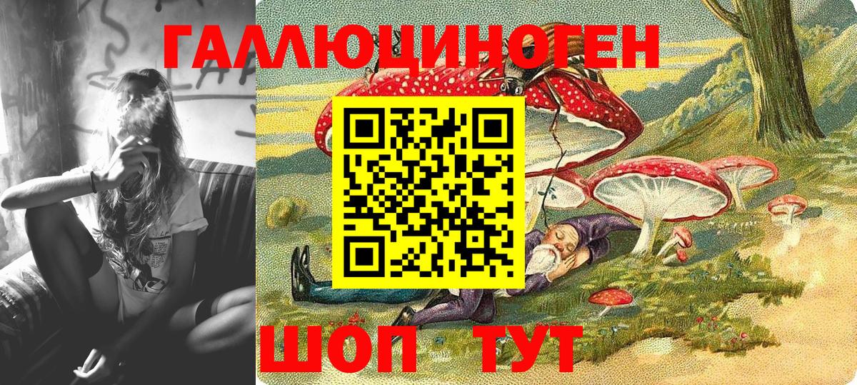Псилоцибиновые грибы Psilocybe Москва